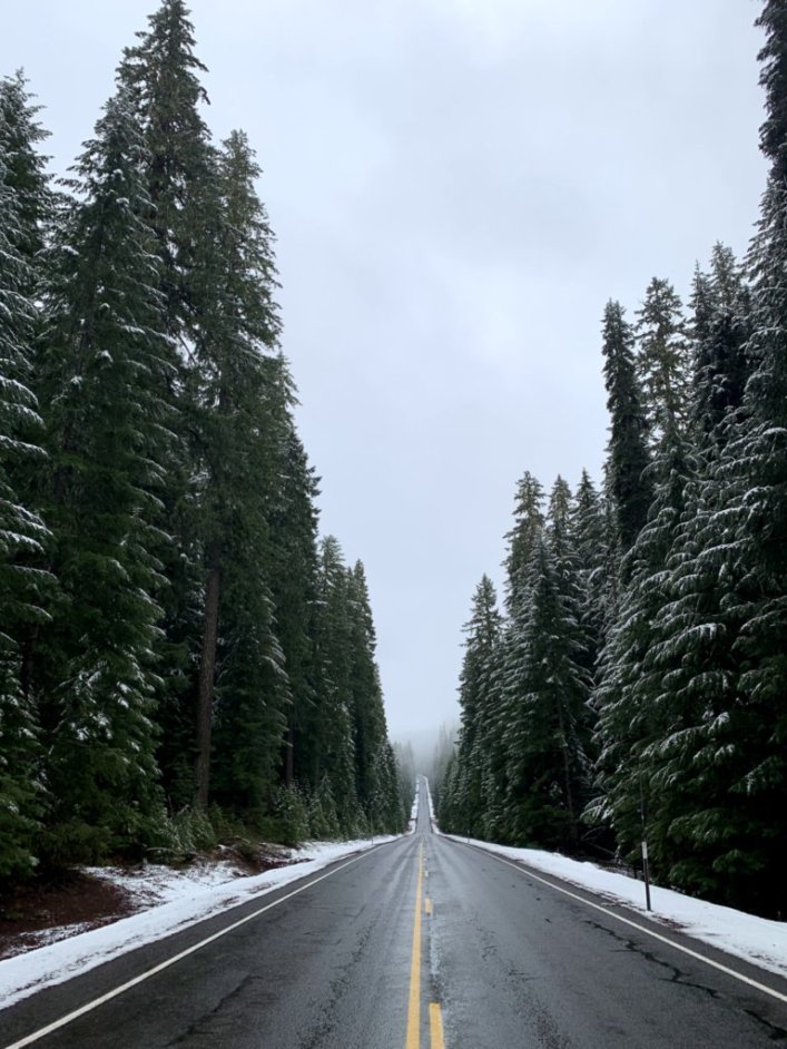 Oregon Trees